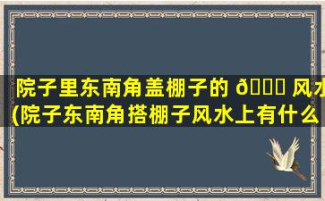 院子里东南角盖棚子的 🐈 风水(院子东南角搭棚子风水上有什么讲究)
